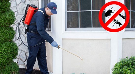 Çamlıyayla Akrep İlaçlama böcek ilaçlama ve haşere kontrolü — ilaclama-tr.com